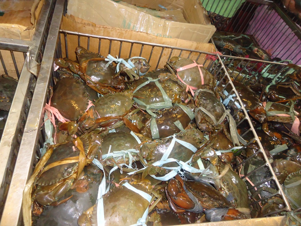 Seafood Overload At Dampa « Patay Gutom